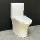  Cheap Affordable Ceramic Flush Toilets China Supplier Wc Sanitary Ware Toilet Bowl One Piece Toilet for Bathroom