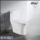 Certificated Rt Fitting New Design Combination Toilet with Basin Water Saving Basin Toilet