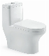  Ceramic Sanitaryware Bathroom Furniture Water Saving One Piece Toilet (Hz5540)