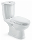 Ceramic Sanitary Ware Water Saving Siphon Flushing Water Closet Two Piece Toilet (Hz814)