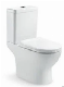  Sanitary Ware Porcelain Toilet Water Saving Siphon Flushing Two Piece Toilet (Hz840)