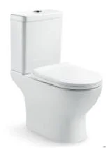 Sanitary Ware Porcelain Toilet Water Saving Siphon Flushing Two Piece Toilet (Hz840)