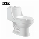  New Arrival Bathroom Soft Close PP&UF Seat Middle East Project Toilet