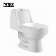 New Arrival Bathroom Soft Close PP&UF Seat Middle East Project Toilet