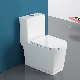 New Design One Piece Toilet Wc