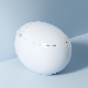 Foam Anti-Splash Luxury Automatic Wc Washlet Egg Shape Smart Toilet Intelligent manufacturer