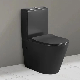 Big Size High Quality 100mm P Trap Dual Flush Ceramic Wc Commode Water Closet Washdown Two Piece Toilet
