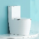Splash Proof New Design Tornado Flushing System Porcelain Wc One Piece Toilet for Bathroom manufacturer