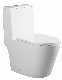 Turbo Tornado Ceramic Sanitaryware Bathroom Wc One Piece Toilet Closet manufacturer