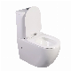  Customization China Bathroom Watermark Toilet Ceramic Wc Two Piece Toilet