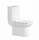  New Arrival for Asia Modern Products S Trap Two Piece Shower Toilet