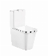  Washdown One Piece Ceramic Sanitaryware Closet Two Piece Toilet Ceramic Twyford Wc Toilet for Adult