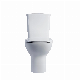 Southeast Asia Sanitary Ware Bathroom Ceramic Tornado Two Piece Wc Toilet Bowl