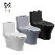 Ovs Cupc Luxury Design Wholesale Hotel Modern Bathroom Matte Black Porcelain Toilets Bowl Waste Pipe Sanitary Ware Water Closet Ceramic One Piece Toilet manufacturer
