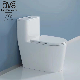 Ovs American Standard Ceramic Dual-Flush Ware Ceramics Roca One Piece Toilet for Sale
