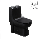 Foshan Ovs Sanitary Ware Cupc Personalized Toilet Bowl Hand Flush Black Matte Water Closet Black One Piece Toilet