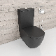  Bath Shower Toiletwatermark Closed Couple Toilet Matte Black Close Coupled Ceramic Wc China