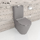 Two Pieces Wash Down Toilet Water Closet Ceramic Toilet manufacturer