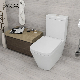  Back to Wall Floor Mount Toilet P Trap Ceramic Two Piece Toilet
