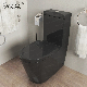 Black Glazed Sanitary Ware One Piece Toilet Color Toilet Popular Bathroom Furniture manufacturer
