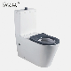  European Standard Australia Bathroom Set Sanitary Ware Handicapped Toilet