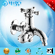  Single Level Two Way Tap Faucet Ware Supplier (Bf-T101)