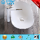 Project Design Wc Washing Basin with Washing Mixer (Bc-7017)