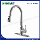 Stainless Steel 304 Mixer Sanitary Ware Faucet Factory Pull out Water Tap Kitchen Faucet (FT1126)