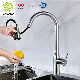 304 Stainless Steel Gold Touch Sensor Pull out Kitchen Faucets