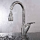 Sanitary Ware Stainless Steel Kitchen Pull out Single Handle Faucet manufacturer