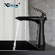 Ablinox Modern Black Matte Precision Casting Kitchen Mixer Basin Faucet manufacturer