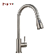 Fyeer 304 Stainless Steel Kitchen Sink Faucet with Pull out Spray