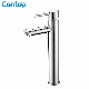  High Quality Modern Kitchen Designs Ceramics Basin Brass Tap