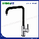  Modern Stainless Steel 304 Luxury Black Kitchen Faucet Sink Mixer Water Tap (FT1207D)