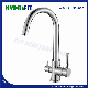 Double Handle Pure Water Tap Brass Kitchen Faucet (MIC-0003)