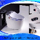 Newest Automatic Flip Type Human Body Induction Smart Toilet (No. X0) manufacturer