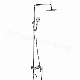 Stainless Steel 304 Lead Free Sanitary Ware Faucet Manufacture Bathroom Shower Set