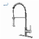 Modern Lead Free Brass Health Brushed Nickel Spring Pull out Kitchen Faucet