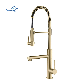 Golden Kitchen Faucet Spring Pull Down Dual Outlet Spouts 360 Swivel Handheld Shower Kitchen Mixer