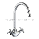 Double Handles Brass Ceramic Disc High Gooseneck Kitchen Mixer manufacturer