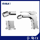 Great Brass Bibcock Bidet Mixer Sample Available Bidet Faucet Attached China Gl9707A97 Chrome Single Lever Bidet Faucet Dine Bidet Faucet Mixer Supplier