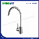  Brass Mixer Sanitary Ware Factory Single Handle Water Tap Chrome Kitchen Faucet (FT806)