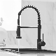  Zb6180 Modern Light Luxury Stainless Steel Pull-out Kitchen Faucet