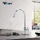 Ablinox Lost Wax Casting New Style Stainless Steel Kitchen Drinking Water Faucet manufacturer