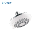  Multi Functions Wall Mounted High Quality ABS Shower Head with Adjustable Ball Joint