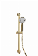 (SHUN YU SERIES) Hand Shower Set-Golden-Sy008g