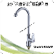 Commercial Good Quality ABS Material Single Cold Kitchen Faucet