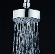  732 New Design ABS Chrome Plated Small Rainfall Top Shower Head