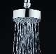 732 New Design ABS Chrome Plated Small Rainfall Top Shower Head