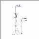 Hot Sell Chrome Shower Set Top Water Inlet/Handheld Shower Bar manufacturer